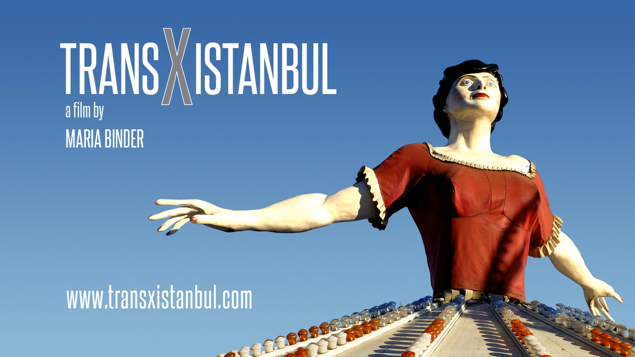 Festival Everybody's perfect: 5 films trans* turcs sur les questions de droits humains et l'activisme